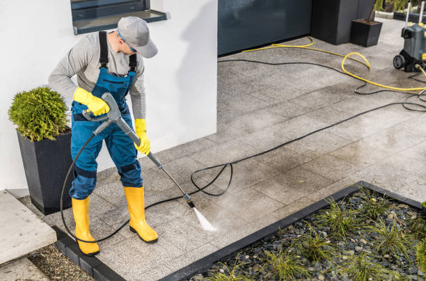 Best Local Pressure Washing Services  in USA